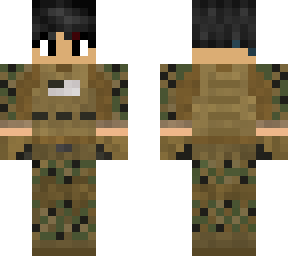 its the army