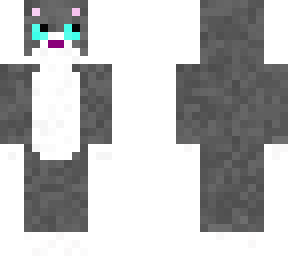 rainy the grey cat