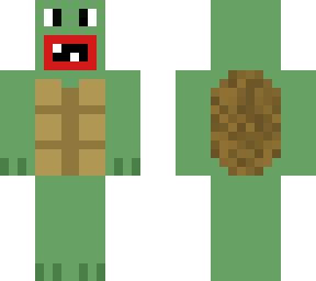 turtle