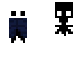 hollow knight & shade