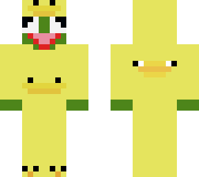kermit in a ducky suit