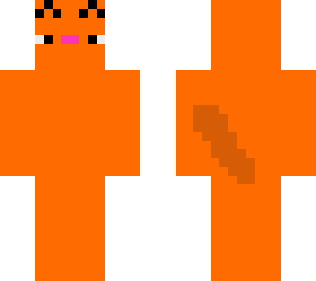 orange kitty bye my sister skater guy