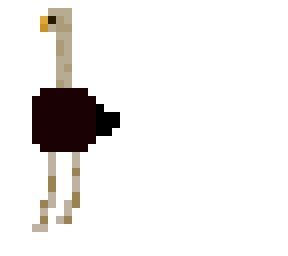 ostrich