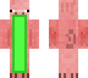 pig