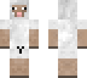 sheep