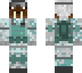 antarctic soldier walrus