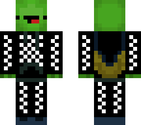 checkered hoodied turtle