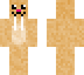 cute walrus