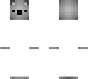 koala base