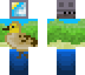 mntr? duck