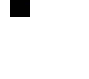 person