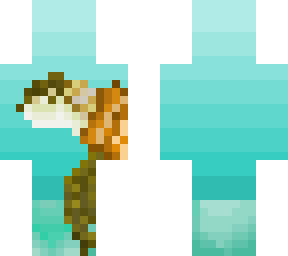 sea turtle