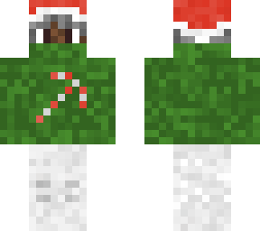 skin for biglots