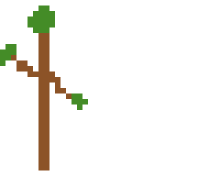 woods