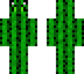 cactus cat