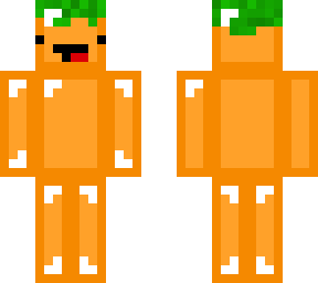 carrot skeppy