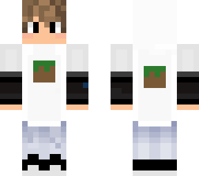 minecraft gamer