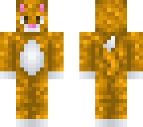orange cat
