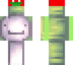skin for wsx2