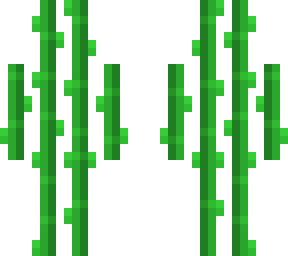 sugarcane (no overlay/background)