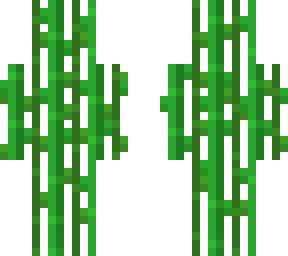 sugarcane (overlay)( no background )