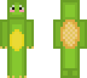 turtle for joe