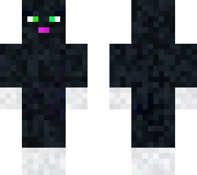 tuxedo cat
