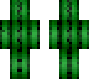 cactus illusion
