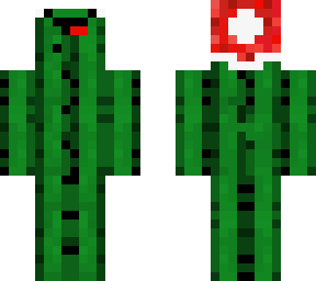 christmas cactus