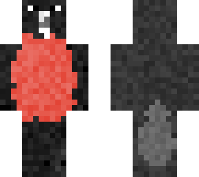 frigatebird #1