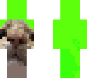 funny cat green screen