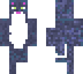 gray kitten