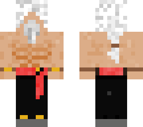 kung fu master