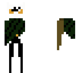 the hollow knight (edit)