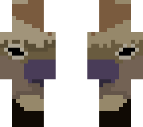 appa!!!!!!!! (my first pixel art skin!)