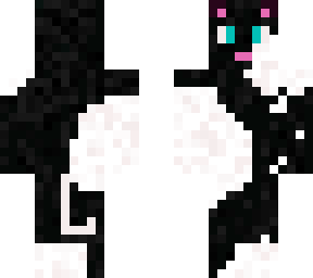 backwards cat