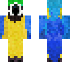 parrot