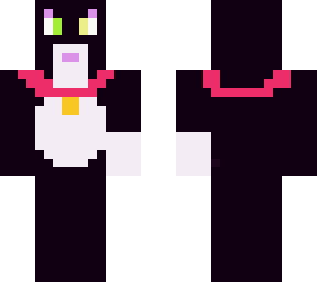 pet cat