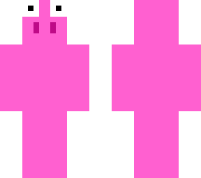 pig