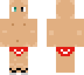 sir in brief