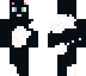 black and white cat