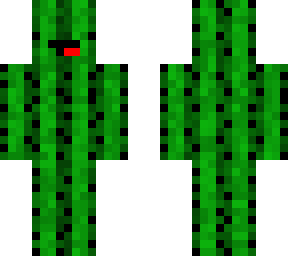 cactus skeppy