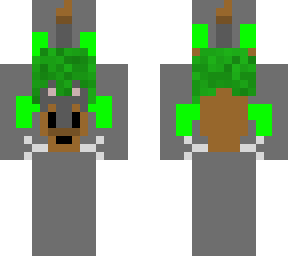 doggo turtle carrys important message