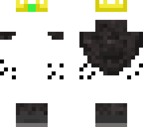 good skin template