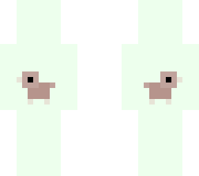 -kiwi birds-