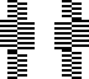 illusion