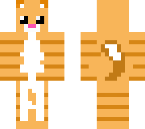orange cat cute