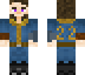 !st fallout skin