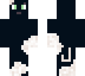 black and white cat