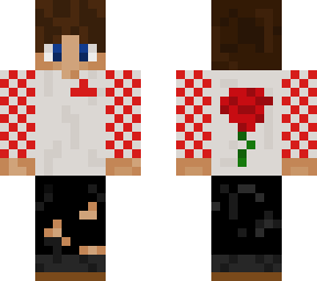 me irl/ boy with brown hair and rose vans shirt.